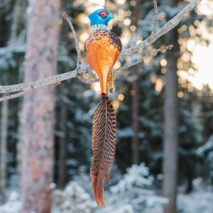 Pheasant