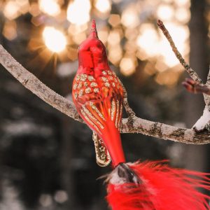 Fairytale singer