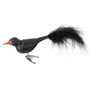 Mr blackbird - mustarastas