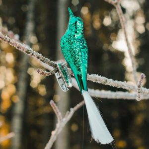 forest green bird