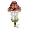 chestnut mushroom - mushroom