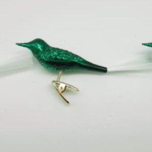 Forest green bird